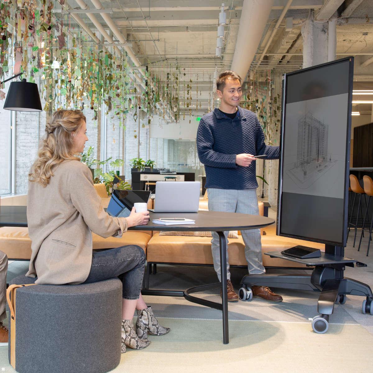 Ergotron Neo-Flex Mobile MediaCenter LD Monitorständer (24-190-085), Anwendungsmöglichkeit Ergotron Neo-Flex Mobile MediaCenter LD Monitorständer (24-190-085), Anwendungsmöglichkeit