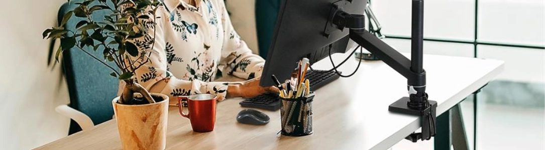 Ergotron Monitor Tischhalterung - Monitorhalterung Tisch